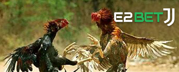 नेपाल साबोङ अनलाइन